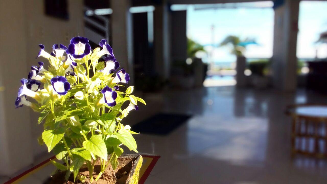 Hotel Brisa Mar à Flecheiras Extérieur photo